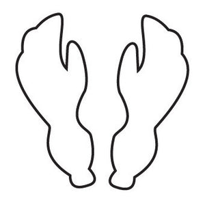 Divers Gloves